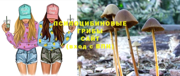 марихуана Новодвинск