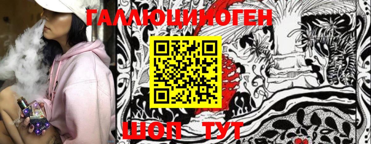 Псилоцибиновые грибы Psilocybe Великий Новгород